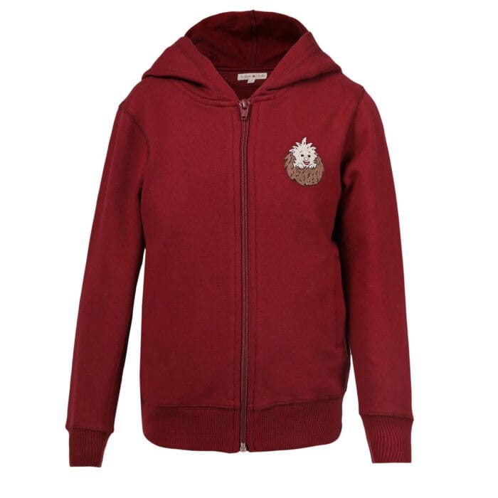 Hedgehog kids Flint Sweatshirt with hoddies - Image 2